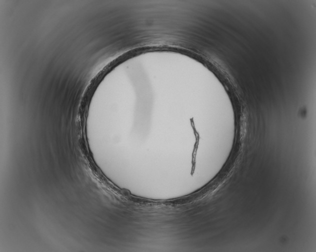 X0000116570876200912311951