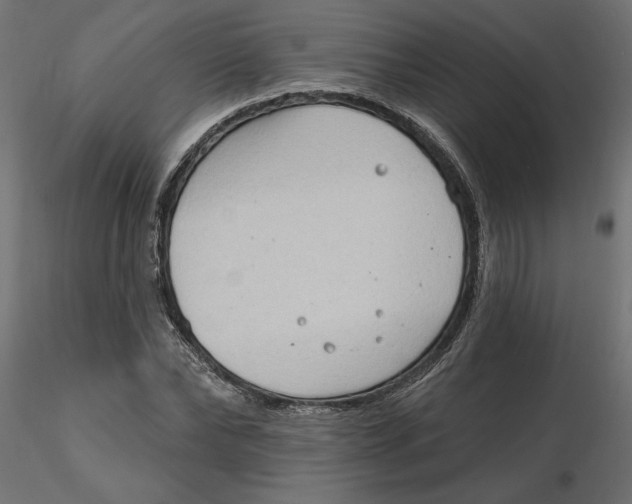 X0000116570878200912311951