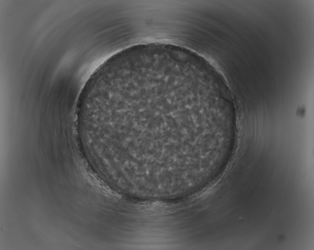 X0000116570879200912311951