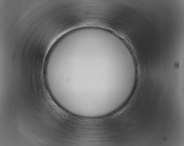 X0000116570880200912311951