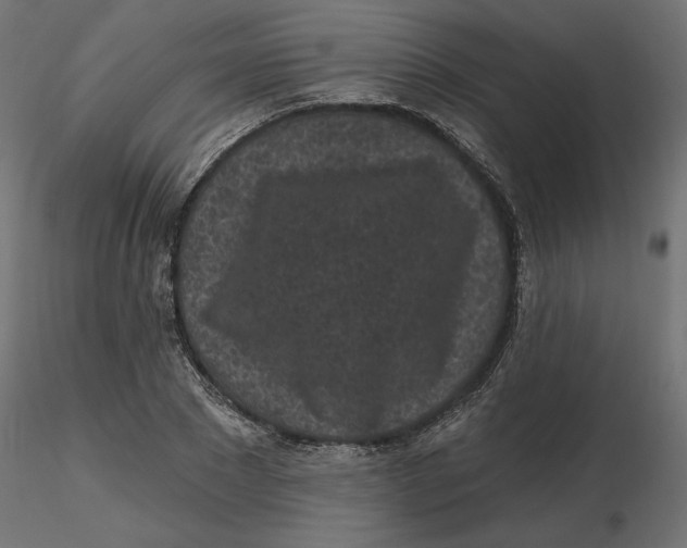 X0000116570881200912311951