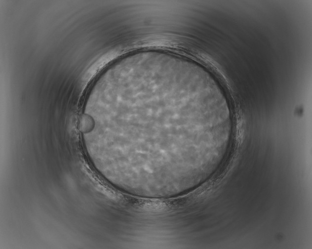 X0000116570882200912311951