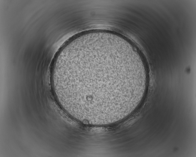 X0000116570883200912311951