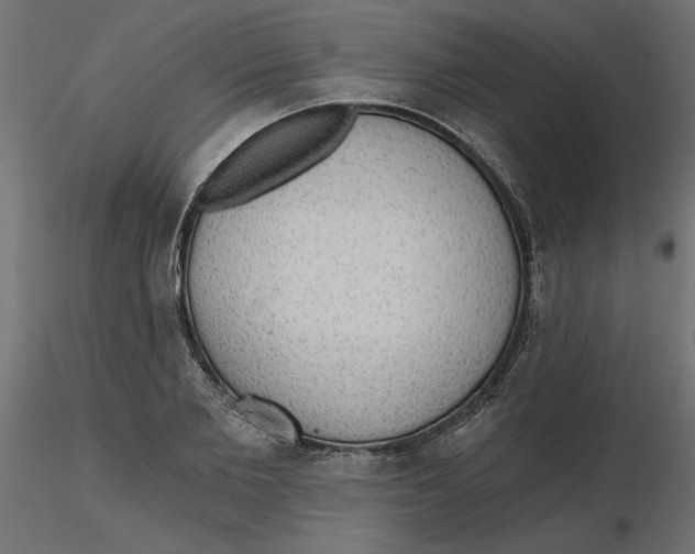 X0000116570885200912311951