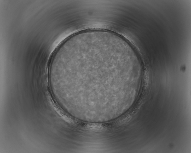 X0000116570886200912311951