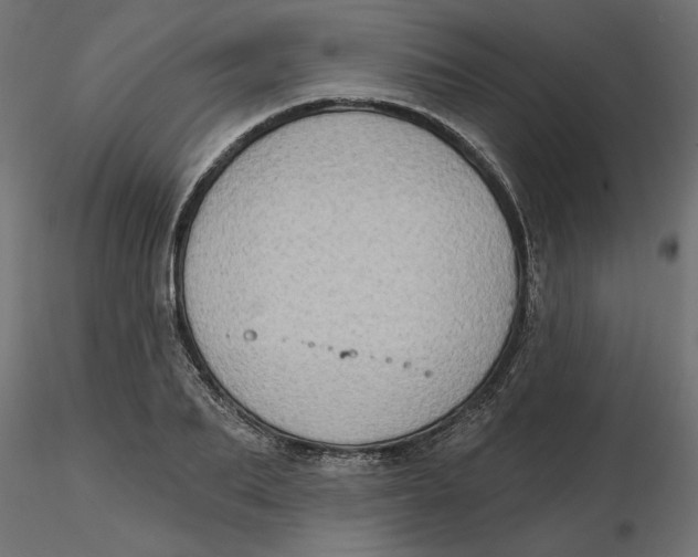 X0000116570887200912311951