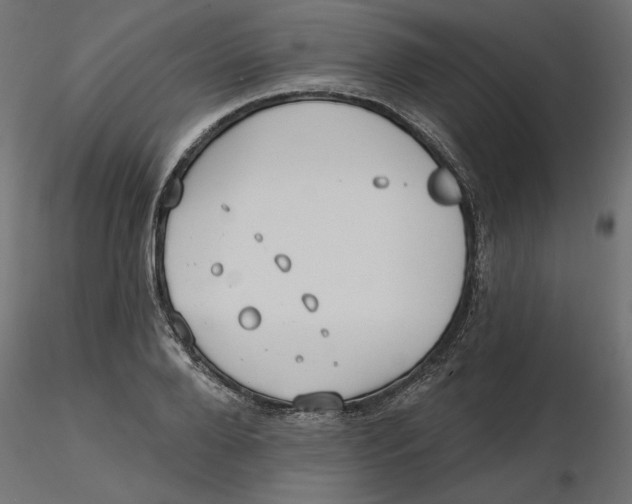 X0000116570888200912311951