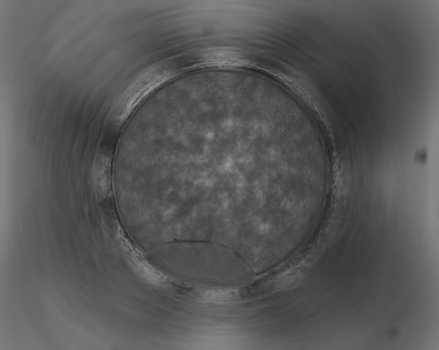 X0000116570889200912311951