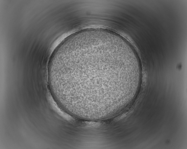 X0000116570890200912311951