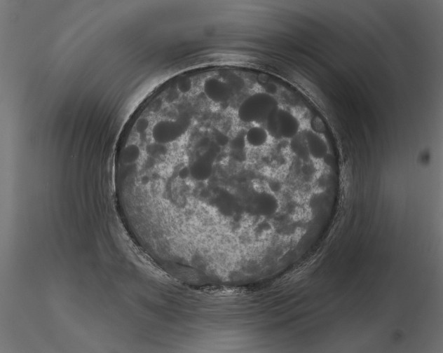 X0000116570891200912311951