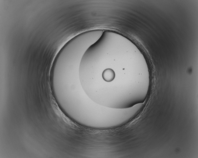 X0000116570892200912311951