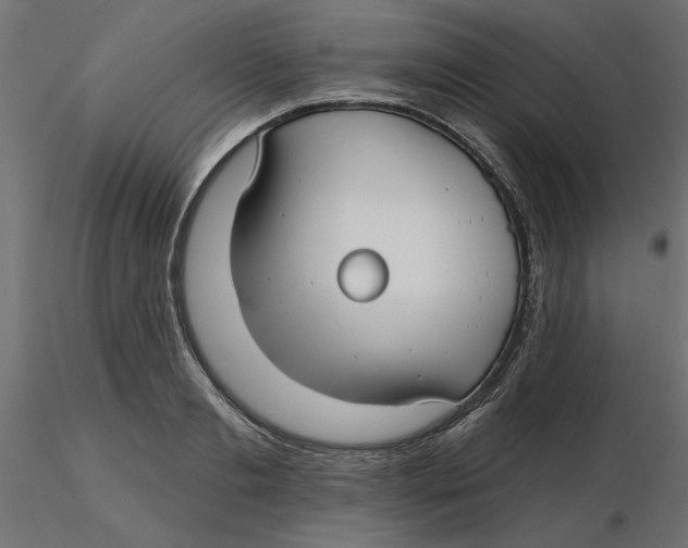 X0000116570893200912311951