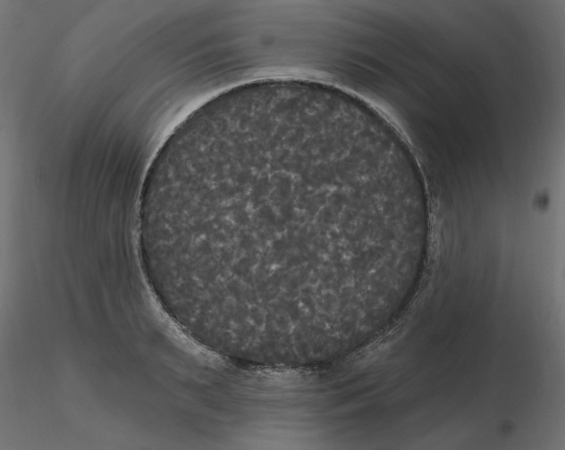 X0000116570895200912311951