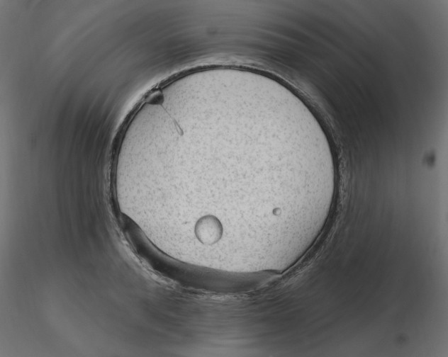 X0000116570896200912311951