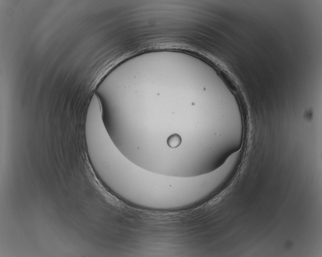 X0000116570897200912311951