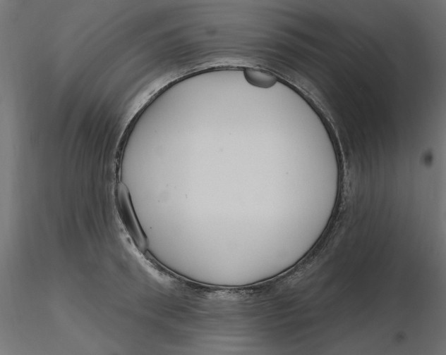 X0000116570898200912311951