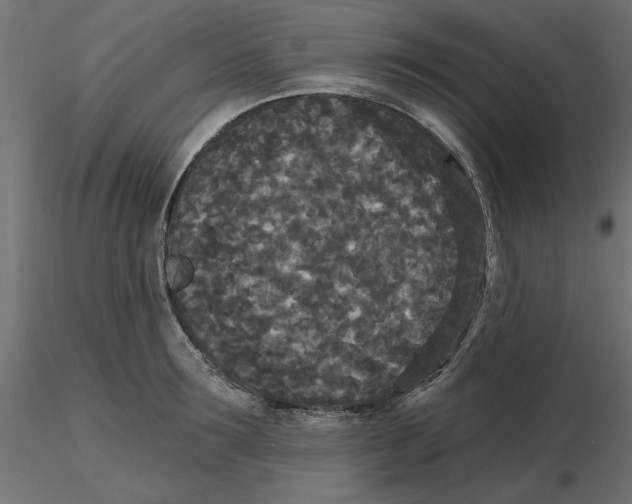 X0000116570899200912311951