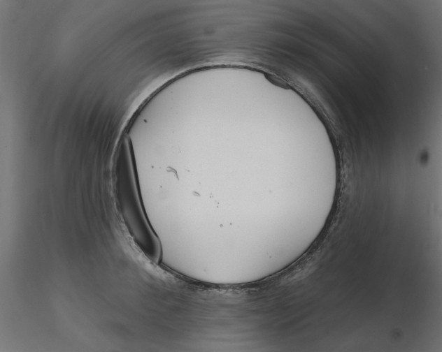 X0000116570900200912311951