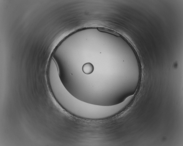 X0000116570901200912311951