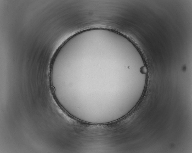 X0000116570902200912311951