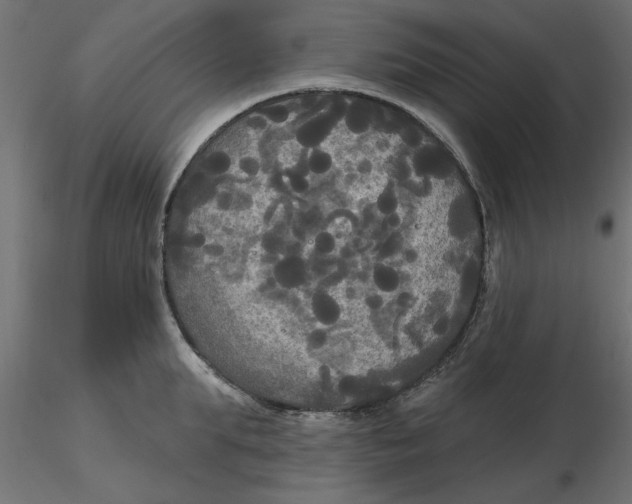 X0000116570903200912311951