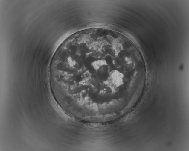 X0000116570907200912311951