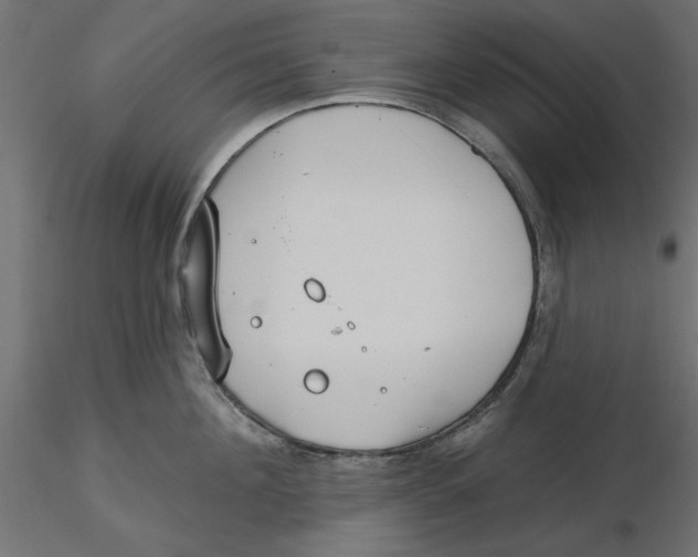 X0000116570908200912311951