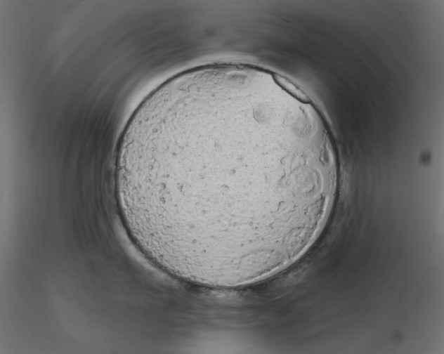 X0000116570911200912311951