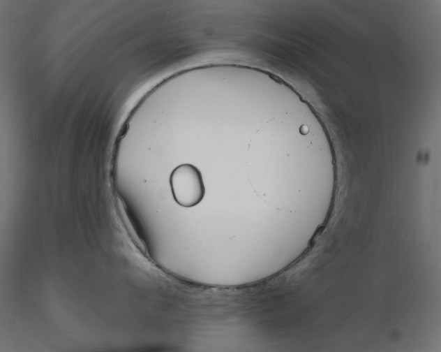 X0000116570912200912311951