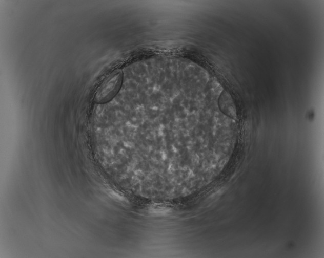 X0000116570913200912311950