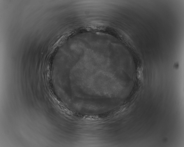 X0000116570915200912311950