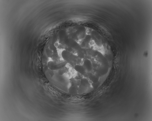 X0000116570917200912311950