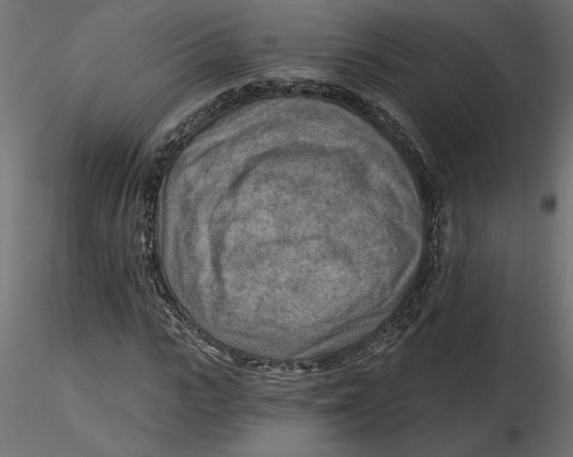 X0000116570919200912311950