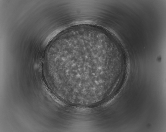 X0000116570921200912311950