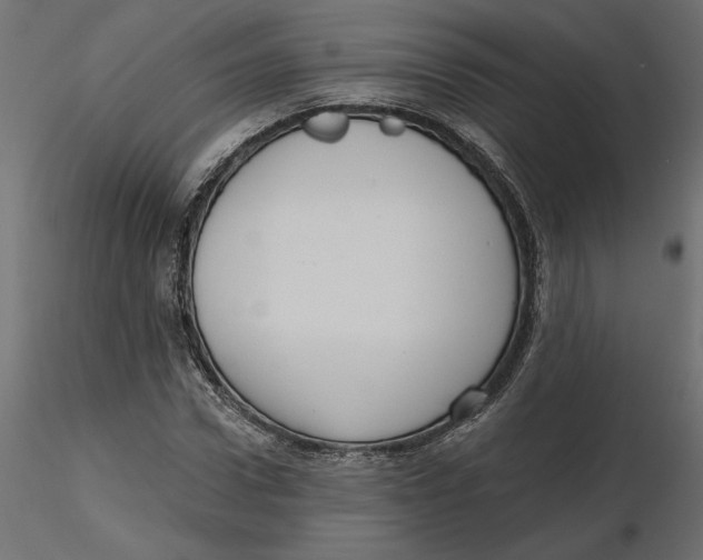 X0000116570922200912311950