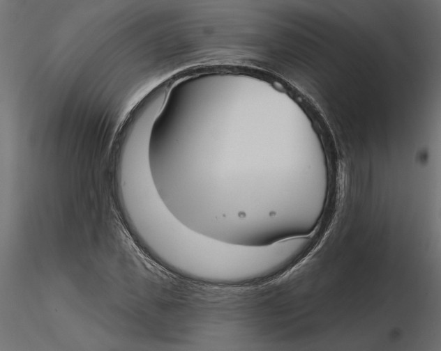 X0000116570925200912311950