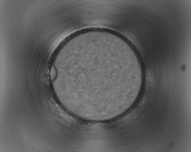 X0000116570926200912311950