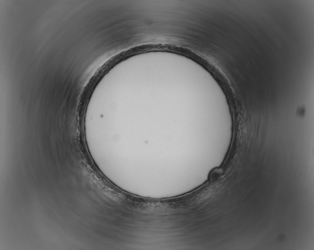 X0000116570927200912311950