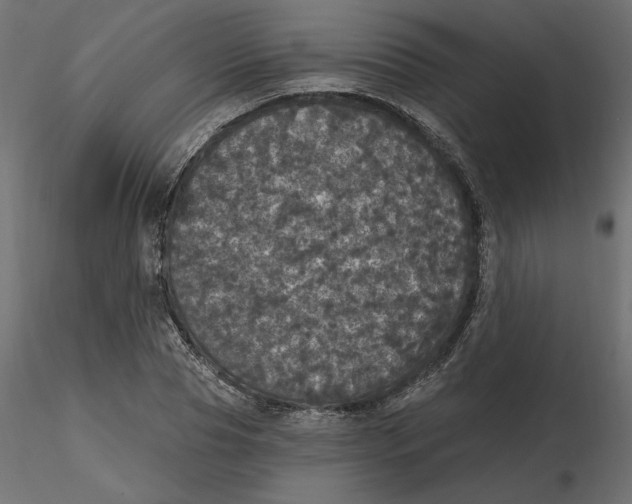 X0000116570929200912311950