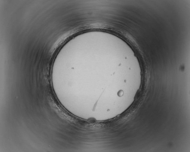 X0000116570930200912311950