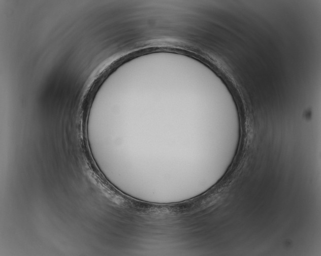 X0000116570931200912311950