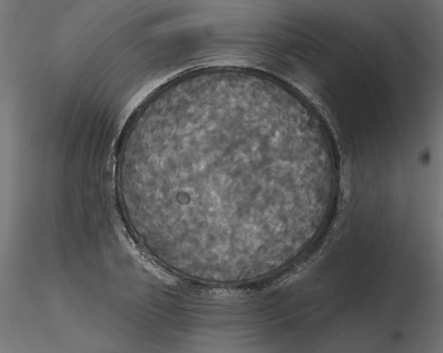 X0000116570933200912311950