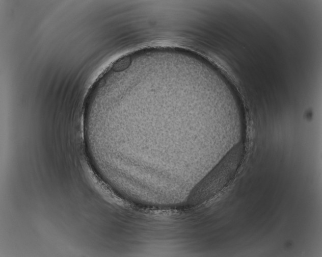 X0000116570934200912311950