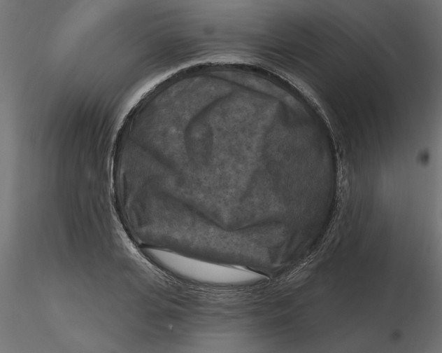 X0000116570935200912311950