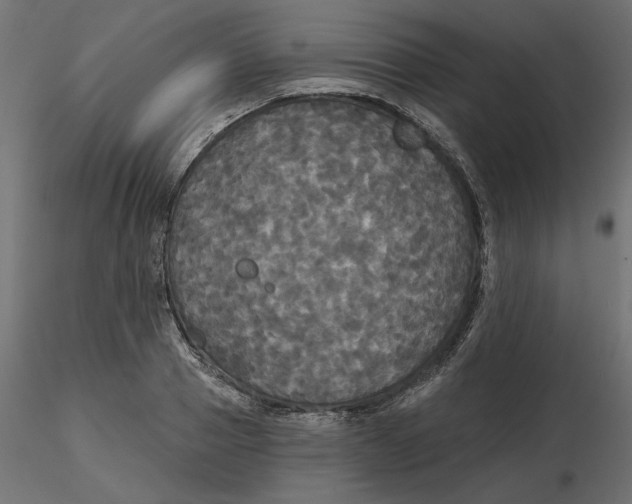 X0000116570937200912311950