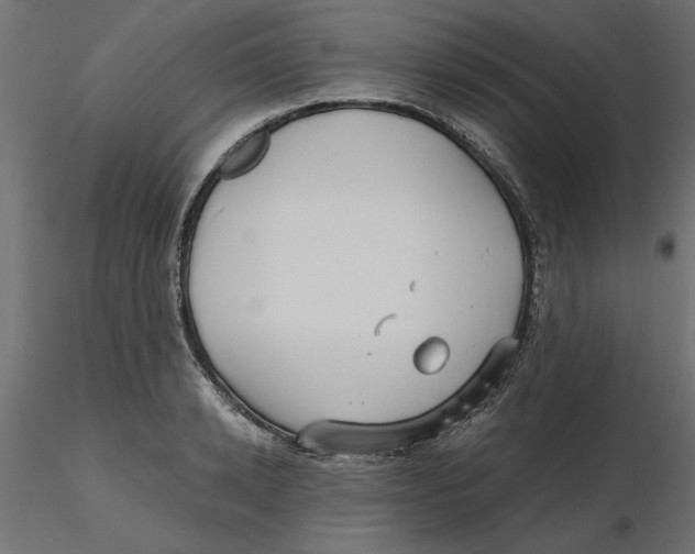 X0000116570942200912311950