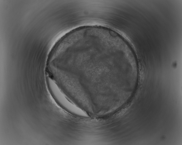 X0000116570943200912311950