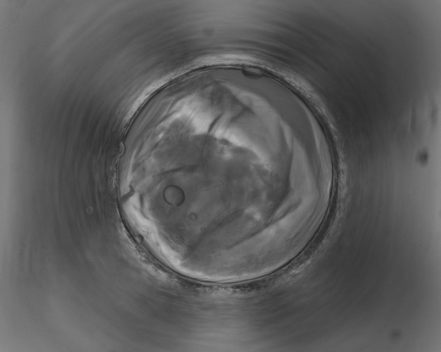 X0000116570945200912311950