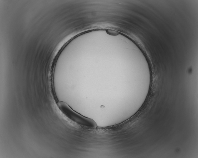 X0000116570947200912311950