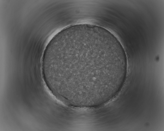 X0000116570949200912311950